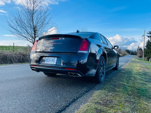 Rear Profile 