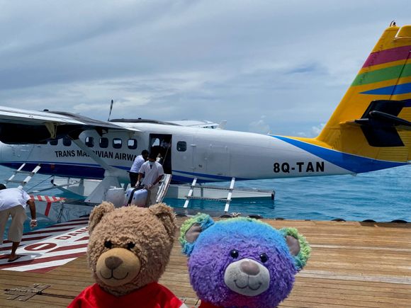 One proper view of our plane 8Q-TAN