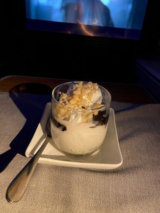 American Airlines sundae - Maui to Dallas
