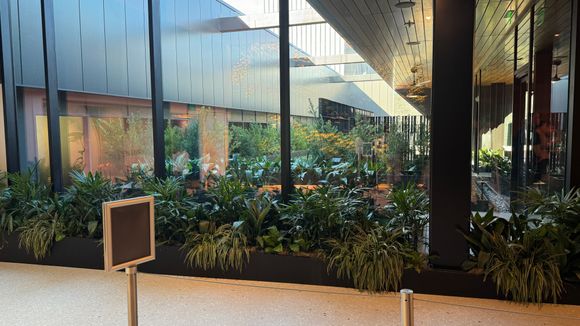 Plenty of lush planted vegetation which has a calming affect upon entering. 