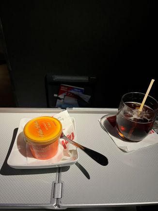 American Airlines Business Class Dessert ORD-CUN