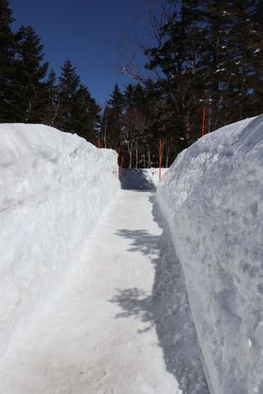 Deep snow paths
