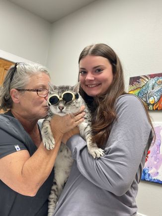 Anpu got to go visit his girlfriends at the vet today.