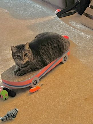 Fred has taken up skateboarding.