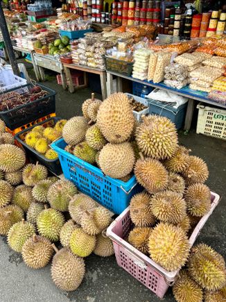 Lots of durian being grown and sold in the region.
