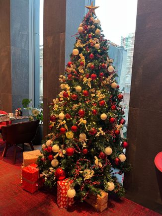 More conventional Christmas trees in the lobby