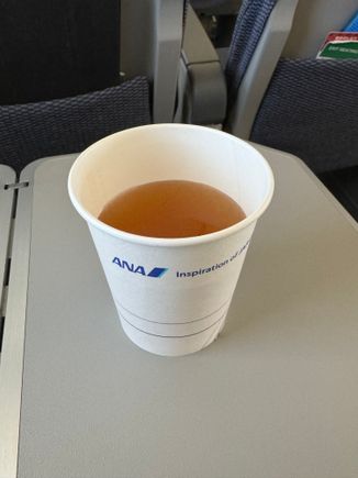 No food service on domestic flights.. only drinks. But they do offer a beef consomme (which is delicious!)