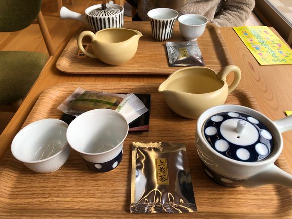 Green tea tasting