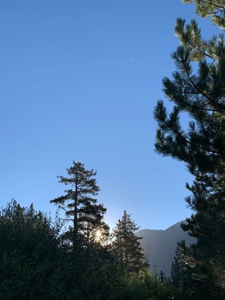 The sun peeking through 