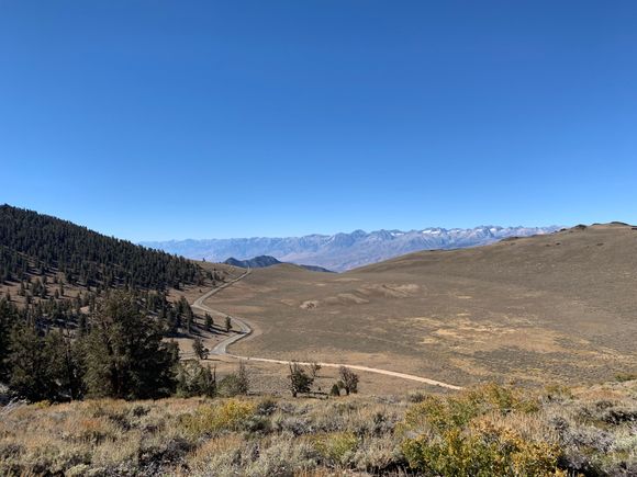 The trees only grow on the west facing slopes and over a certain elevation. On the west side of the road, it was bare. 