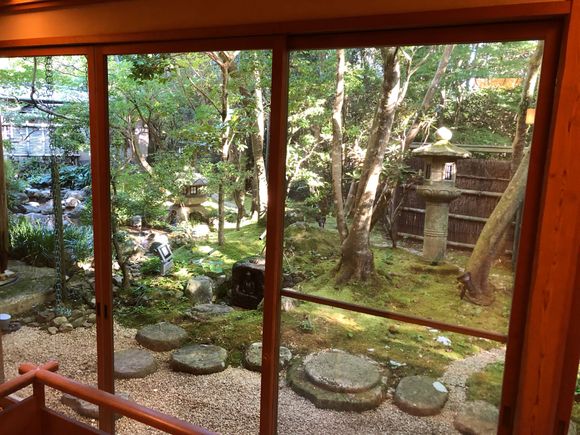 Garden view from dining room