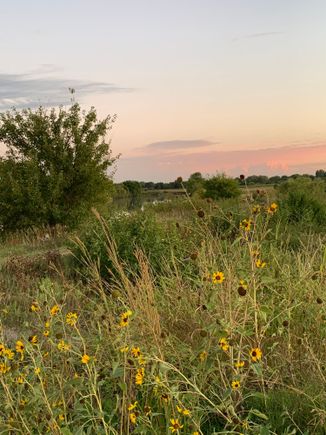 Sunset in Kansas. 
