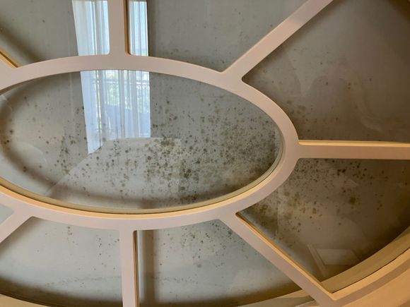 Moldy bathroom screen