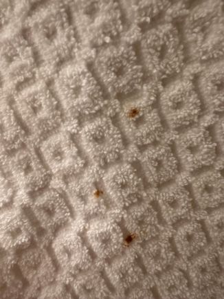 Bloody towel