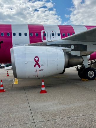 Breast Cancer Awareness ribbon on the engine cowling