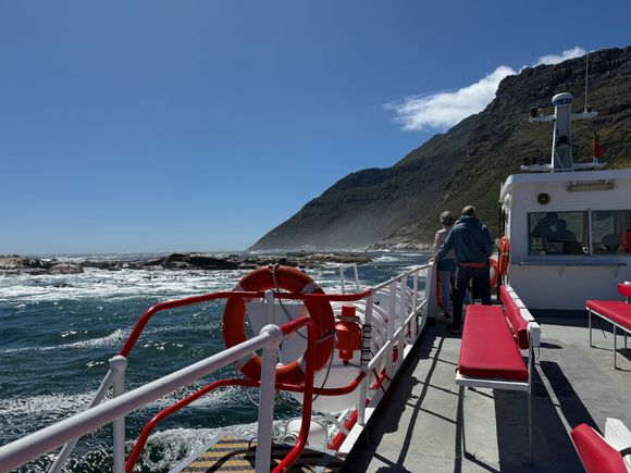 Short excursion to “seal island”. 