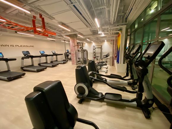 Awesome gym. Just one Peloton hiding in the corner though.