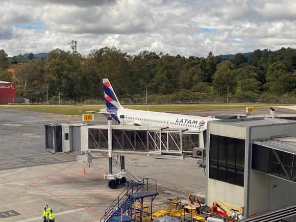 My bird is in view from the lounge
