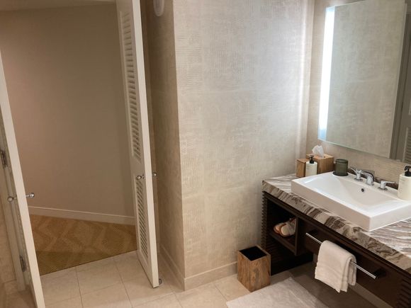 2nd sink vanity has also a walk in closet