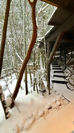 View from the front door