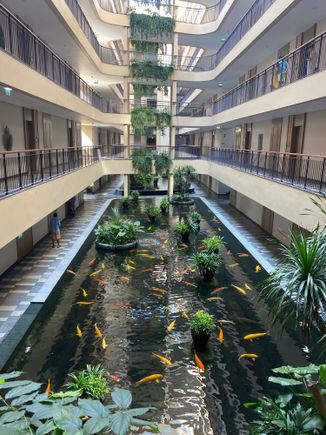 Atrium block 4 by day