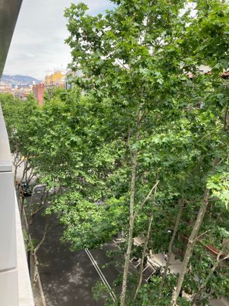 View from the balcony to the left (have to say all this green soothes the nerves)