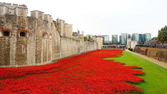 London: Blood Swept Lands and Seas of Red was a public art installation created in the moat of the Tower of London, England, between July and November 2014. It commemorated the centenary of the outbreak of World War I and consisted of 888,246 ceramic red poppies, each intended to represent one British or Colonial serviceman killed in the War.