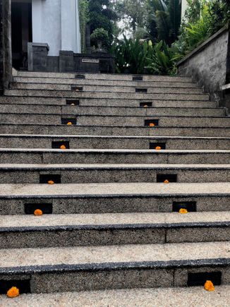 Marigolds On Steps