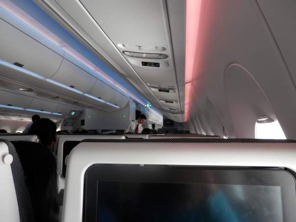 Interior of the plane