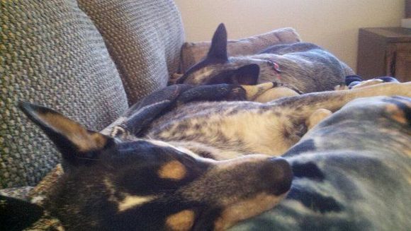 nap time