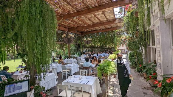 Lunch at Larco Museum.  Absolutely amazing atmosphere, great service, and delicious food.  