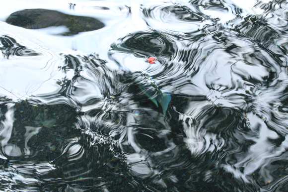 Artistic Shot