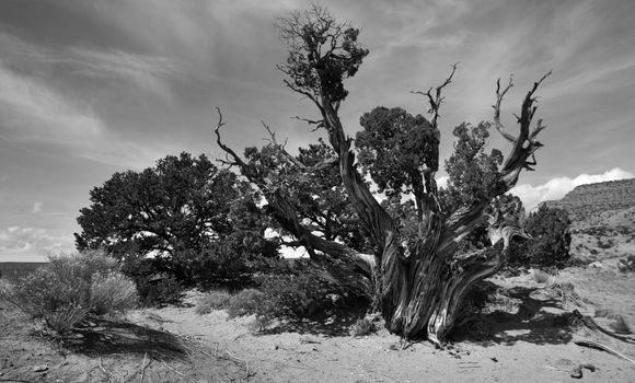 Ghost Ranch, NM