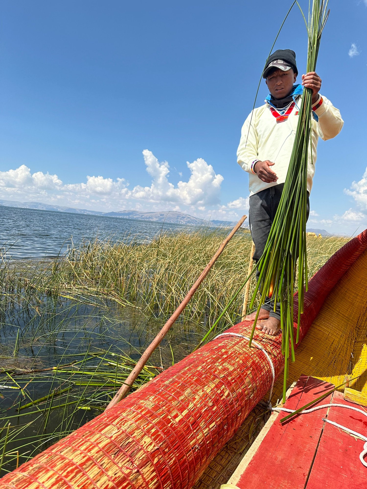Demonstrating how he harvests the reeds