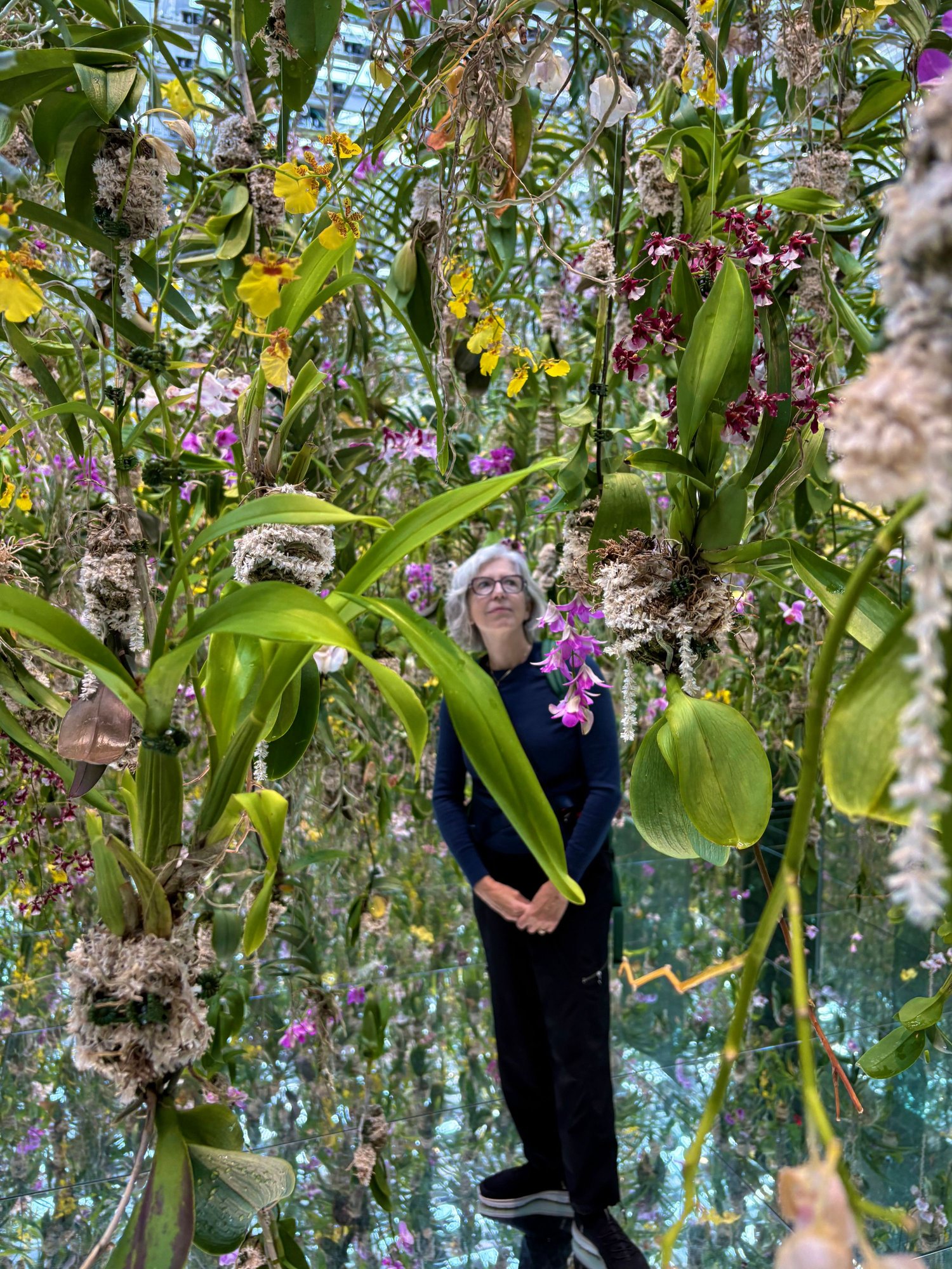 Those are real orchids!