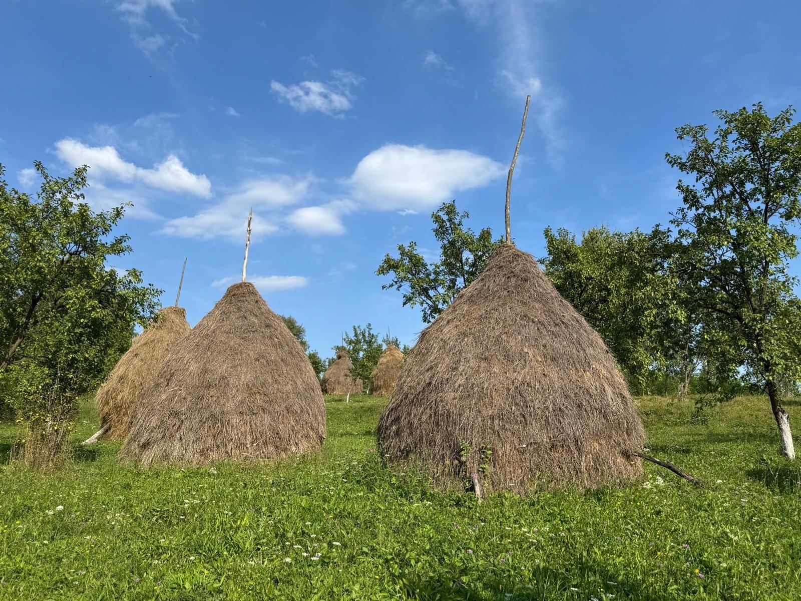 Haystacks in the cemetery 