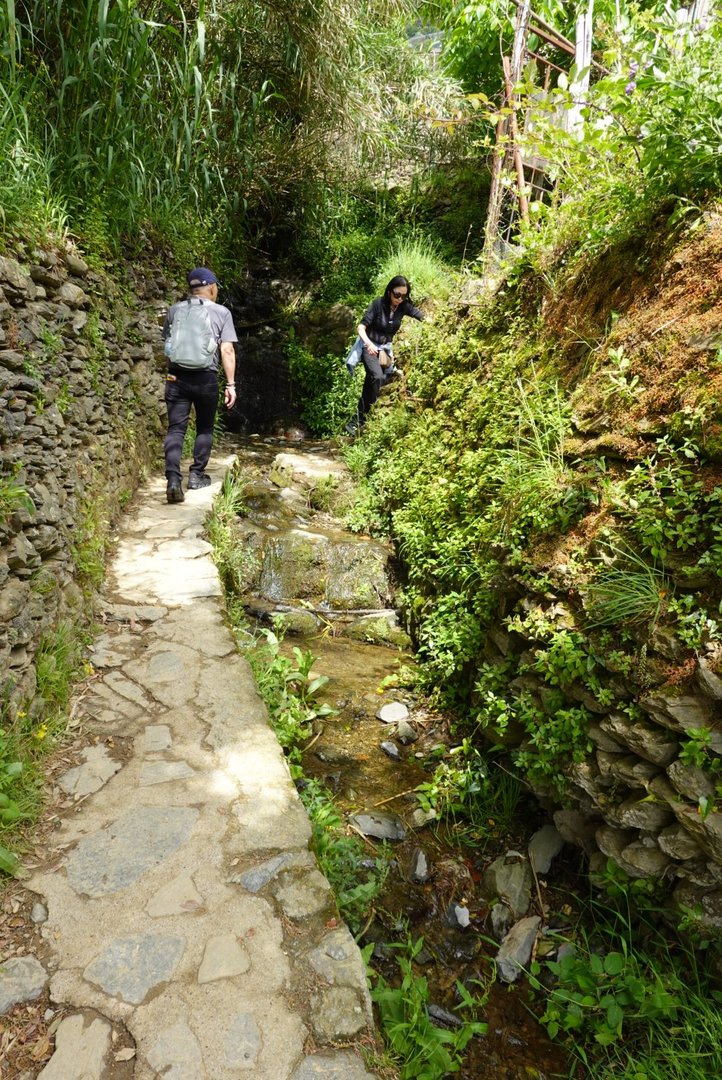 Gaining elevation as you go inland to cross a little ravine