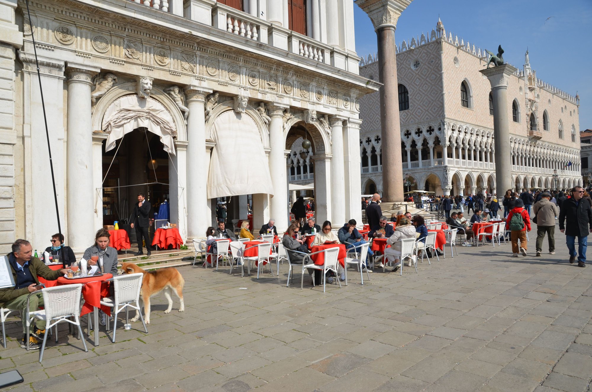 Molo di Palazzo Ducale