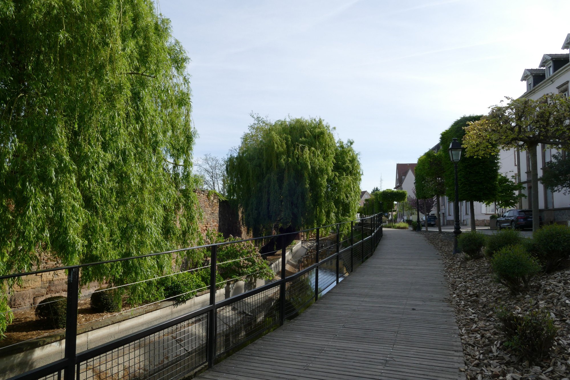 Lovely walk