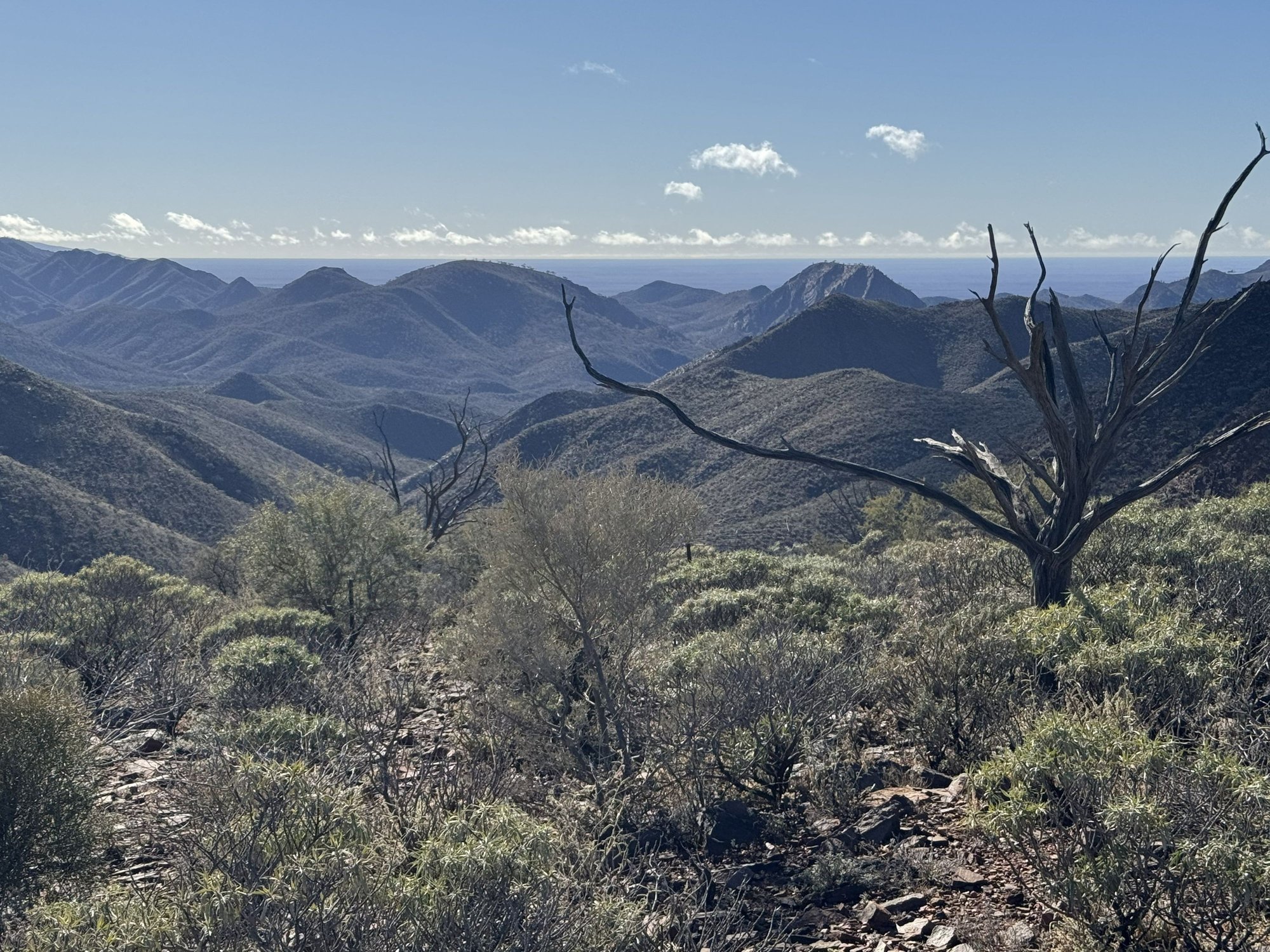 Great views from the ridge - Lake Frome (a dry salt lake) is a thin white line on the horizon