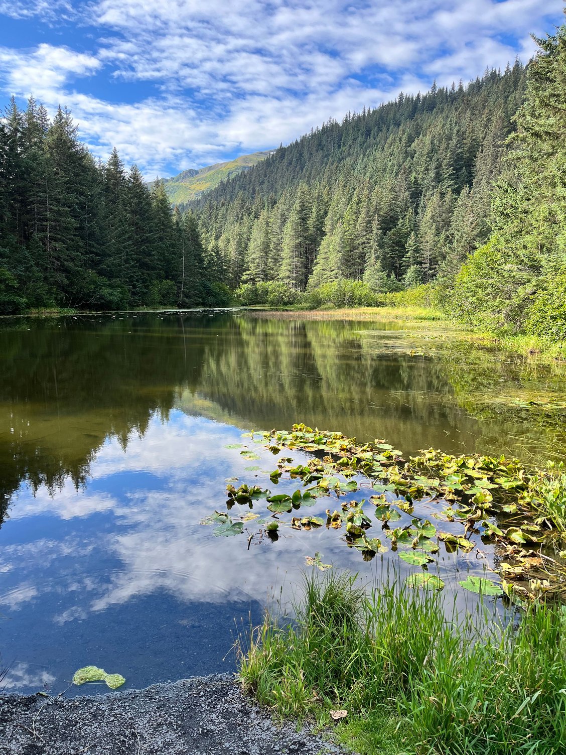 Two lakes trail in Seward'