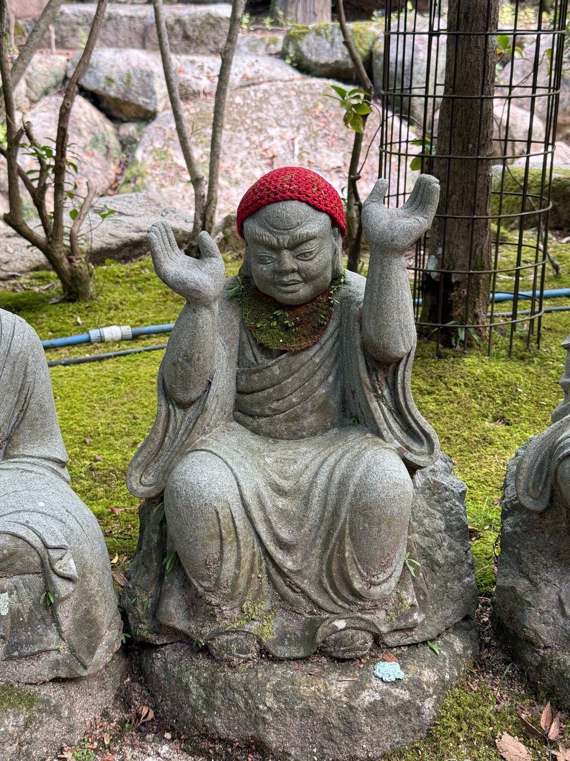 some days I feel like throwing my hands up too......