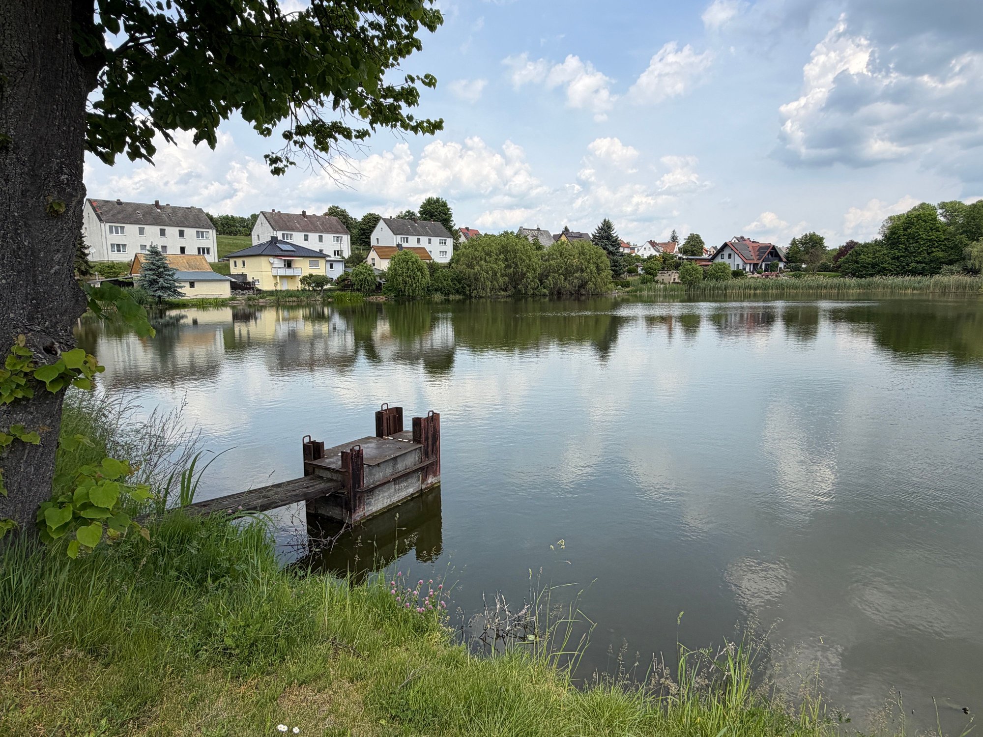 The pond is the family homes backyard