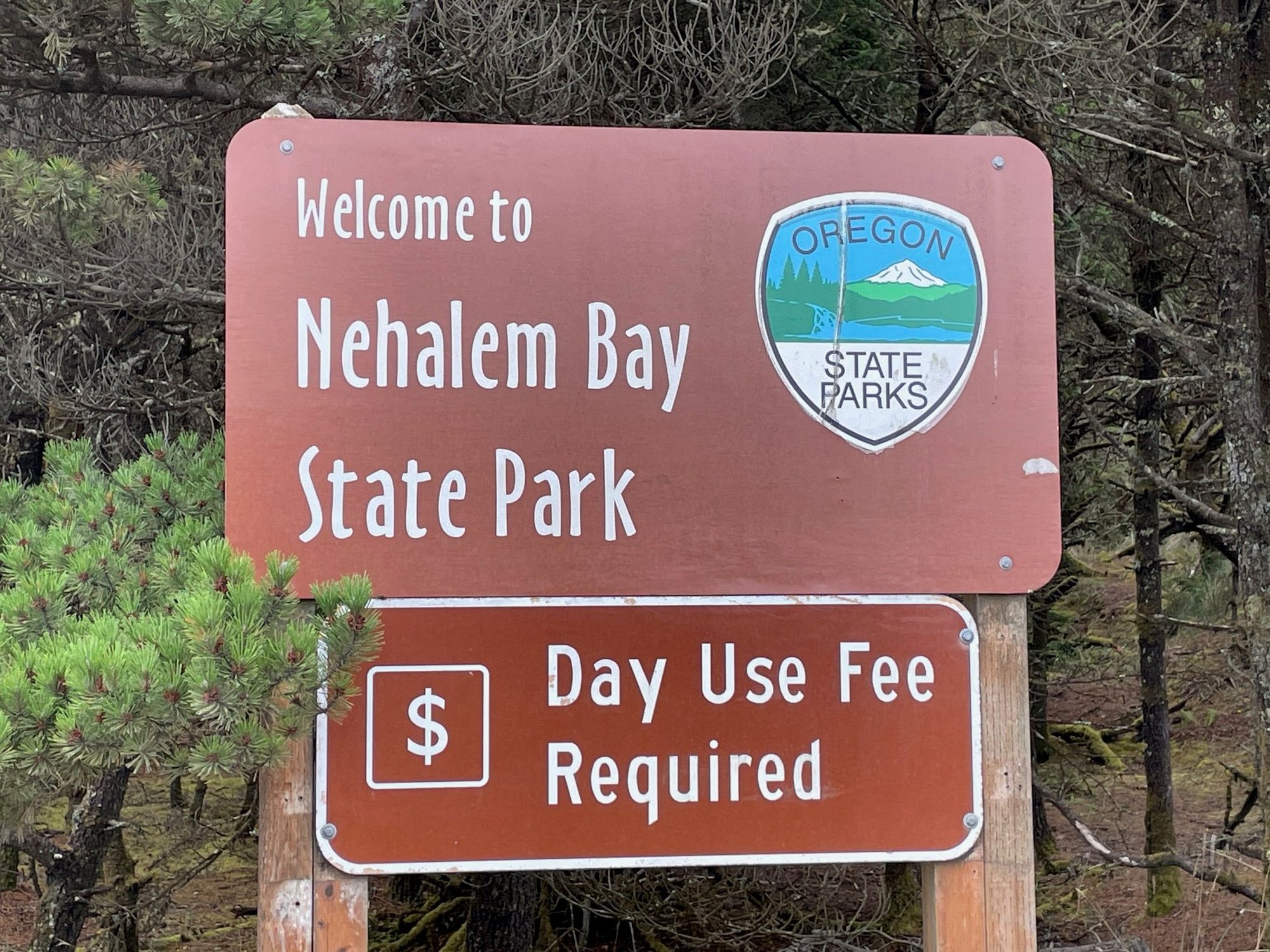 Nehalem Park is right on the beach but there is a pretty good sized berm, so you can hear the ocean but you can't see it.