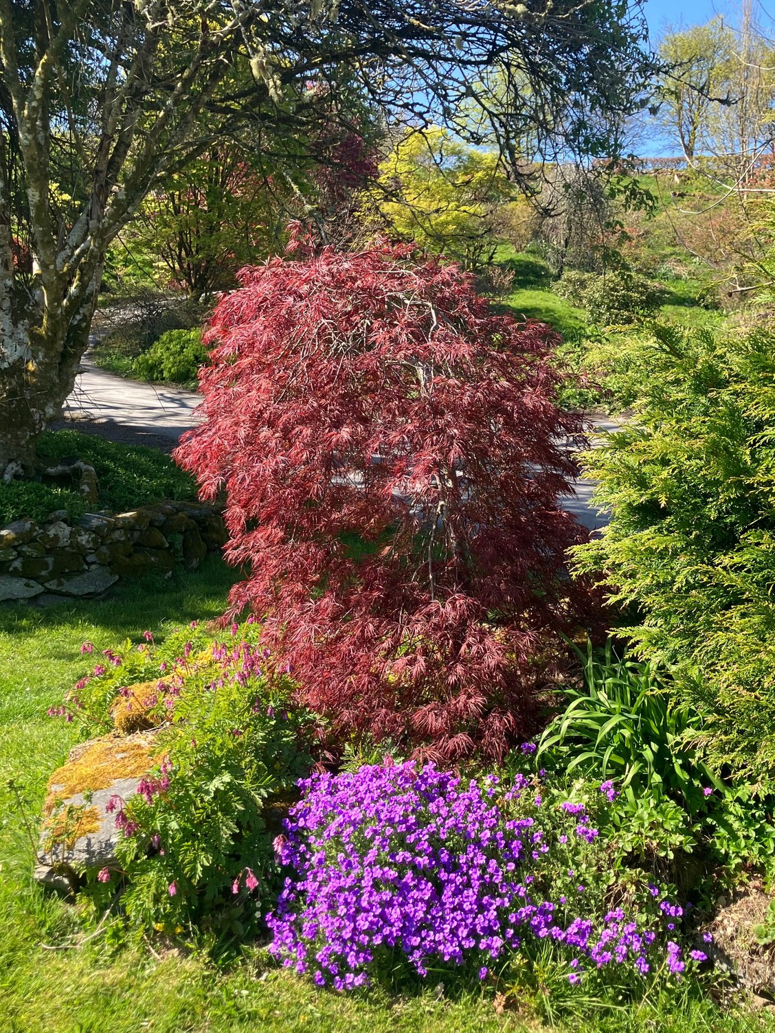 Caerau Gardens