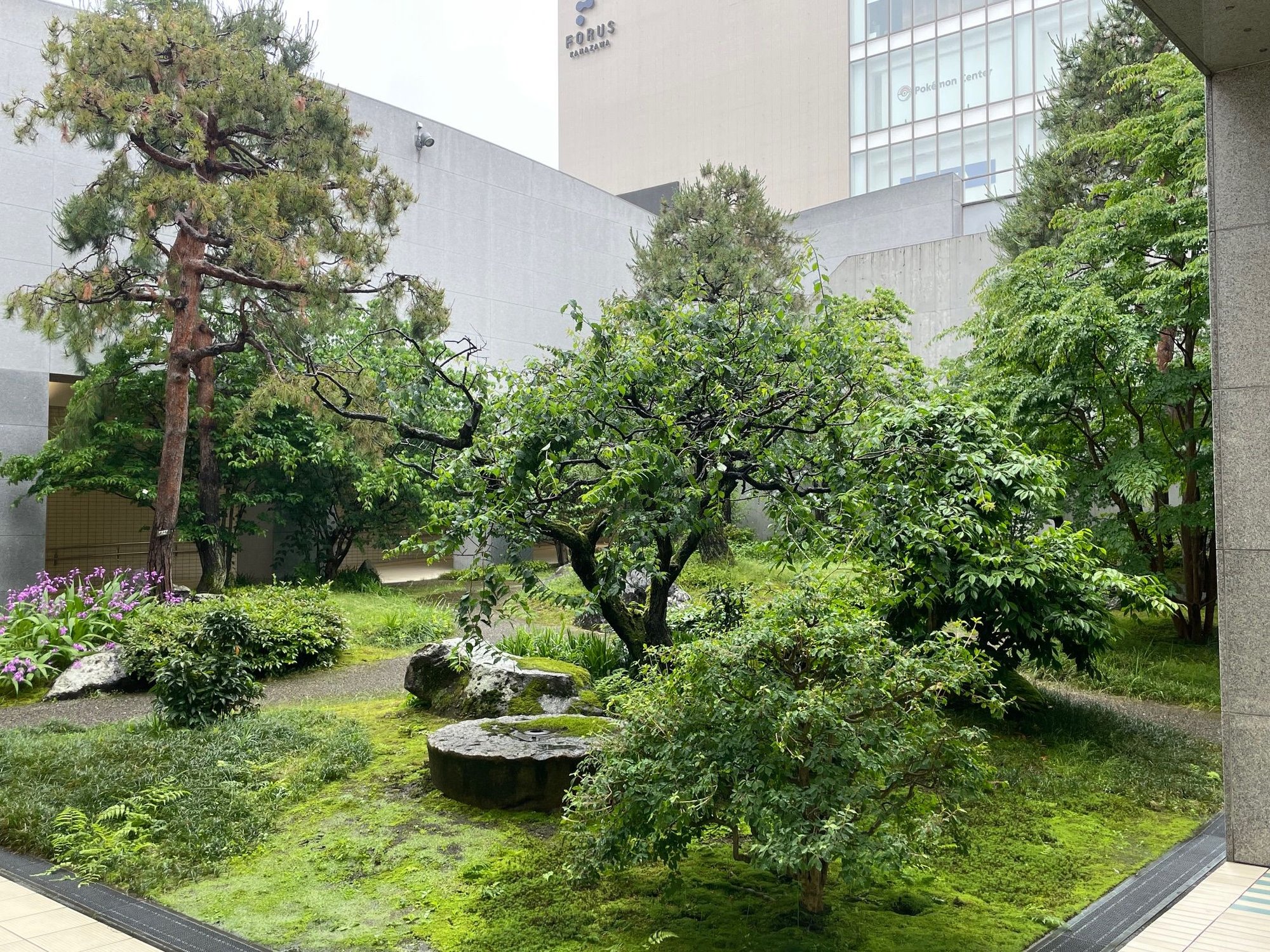 This is what they are looking at. A little Zen before your trip