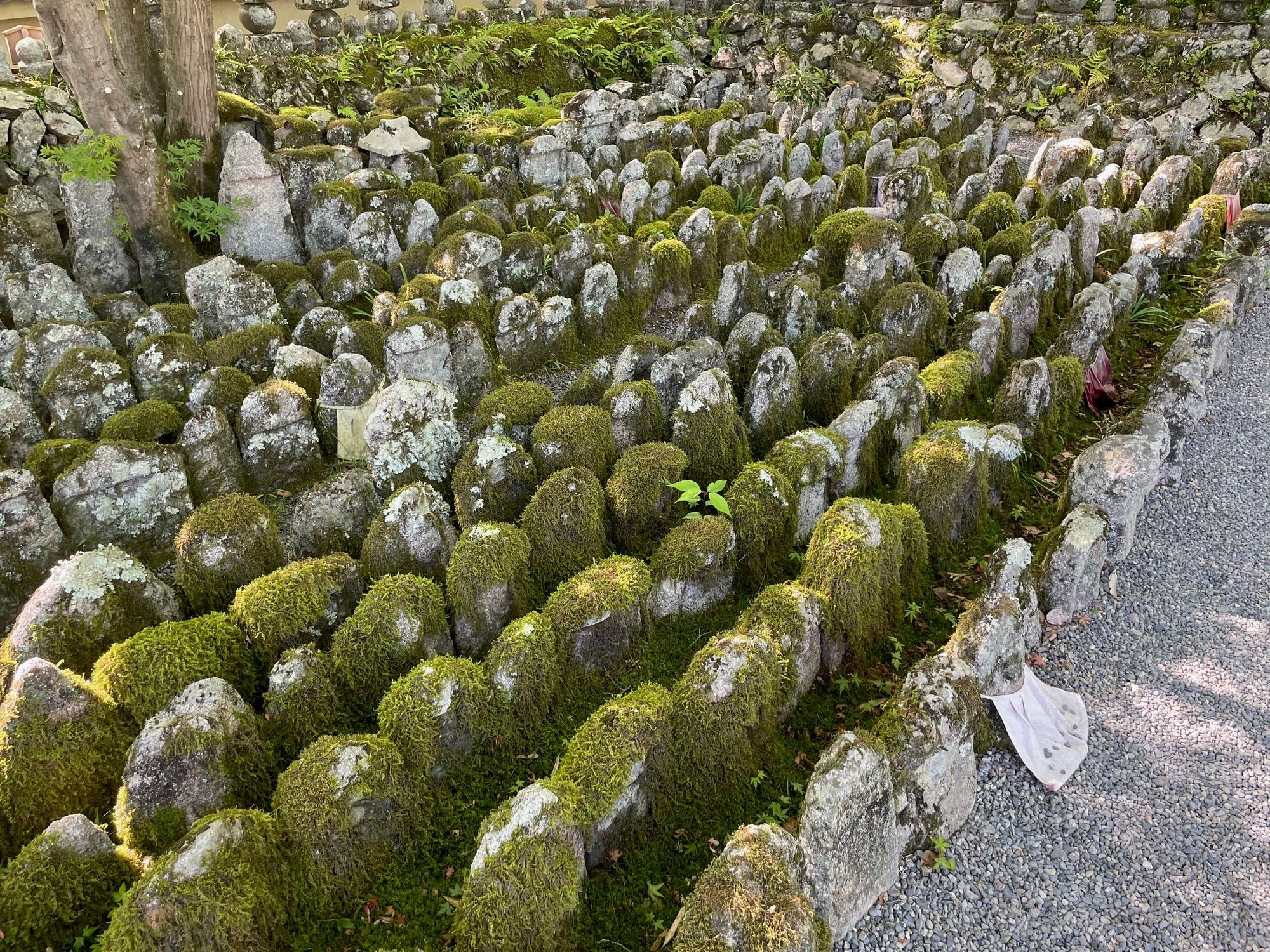 And here are the Stones, Mick and Keith are in the back.