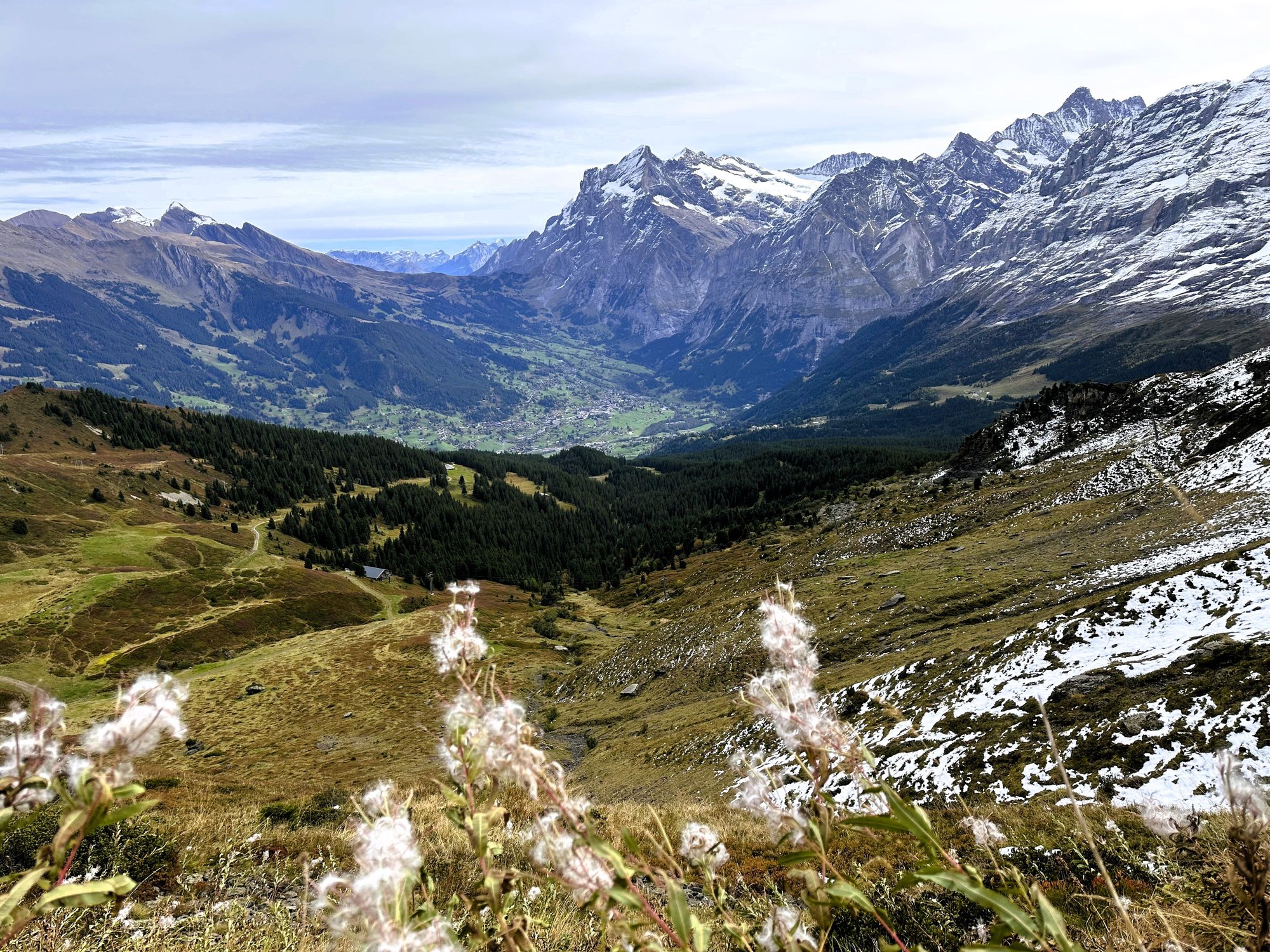 Panorama walk to Kleine Scheidegg