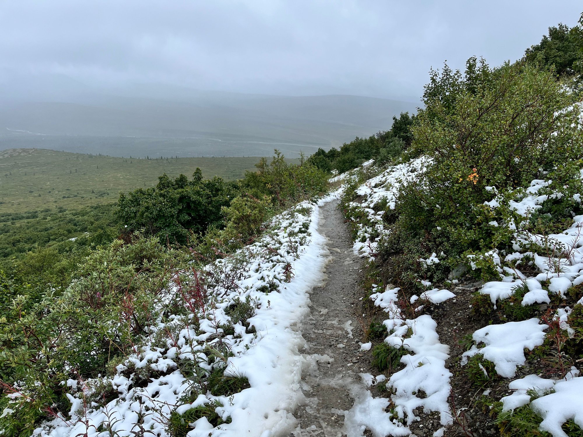 1h50m - On the day down to Mountain Vista side; more sheltered, less snow, but still raining 