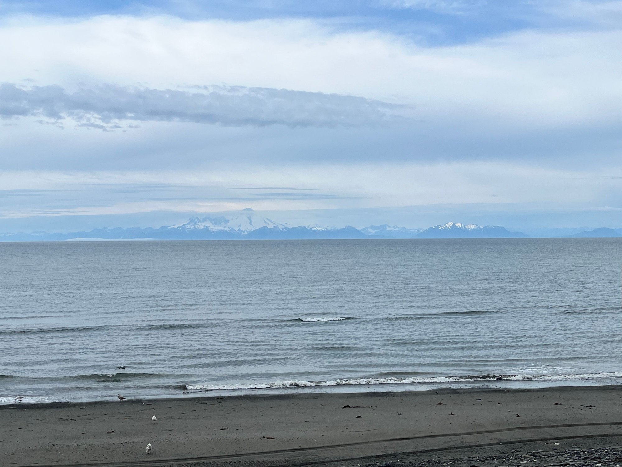 You can see Mt Iliamna across Cook Inlet